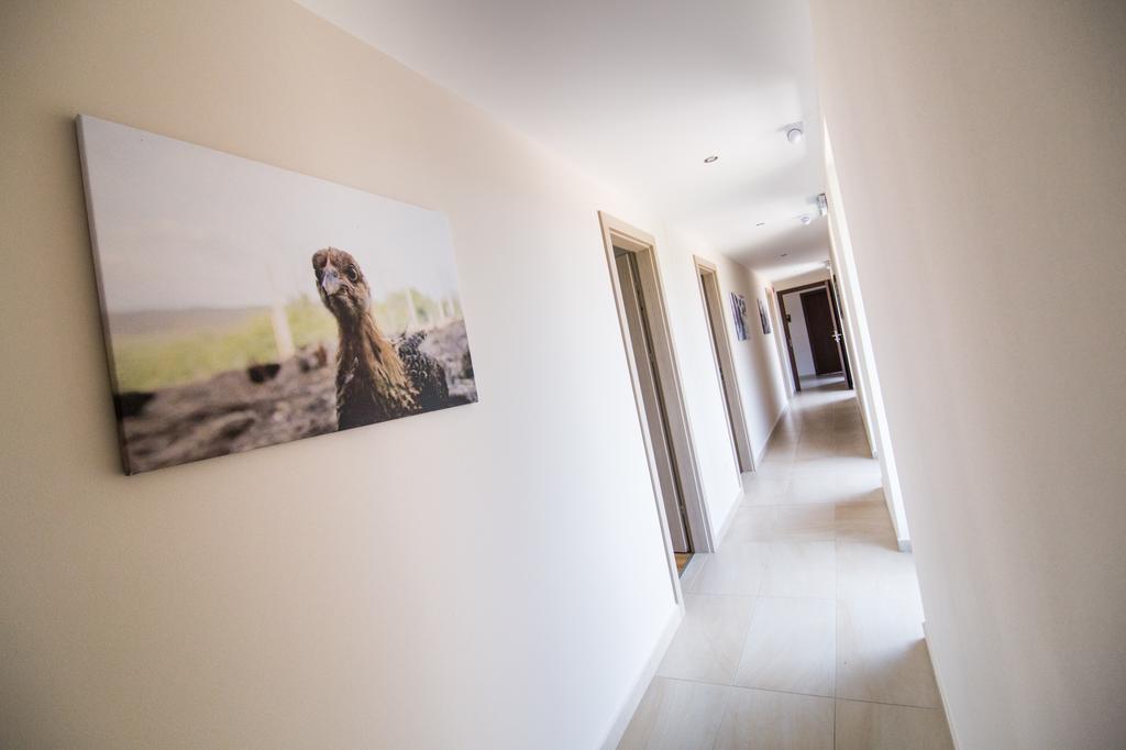 Oeregtoelgy Vendeghaz Villa Szár Exteriör bild